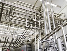 Calorie HNT Private Limited